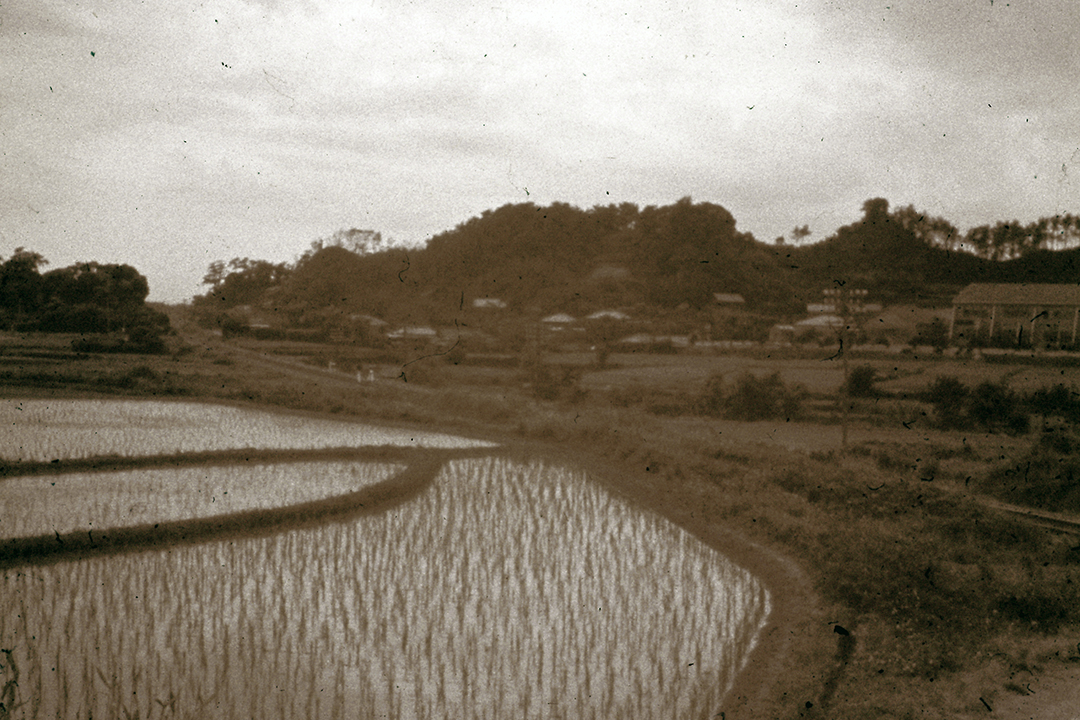 Japan 1954