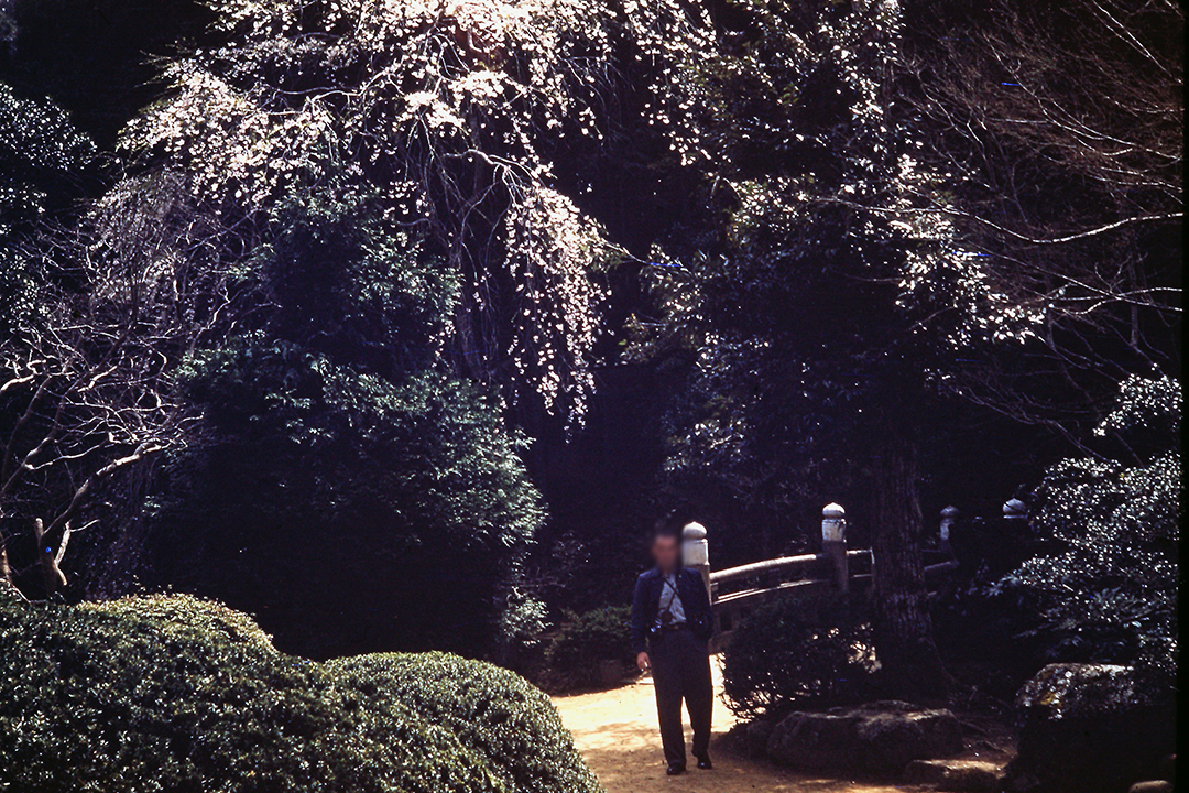 Japan 1954