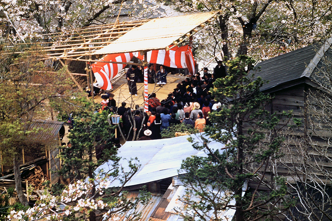 Japan 1954